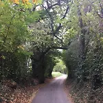 Calvenere Alojamento de Turismo Selvagem