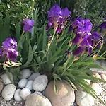 Calvenere Alojamento de Turismo Selvagem Calvene