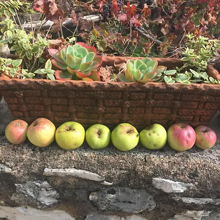 Calvenere Lodge Calvene