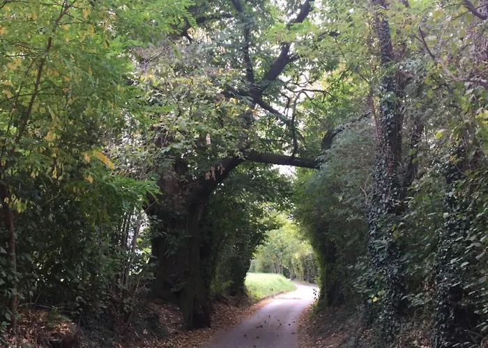 Calvenere 山林小屋