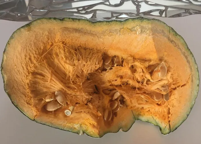 Calvenere 山林小屋