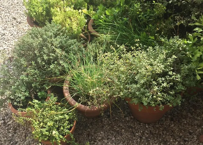 山林小屋 Calvenere