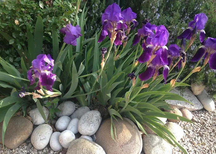 Calvenere 山林小屋 Calvene